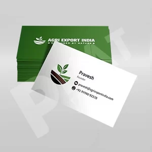 In Card Visit Giá Rẻ Offset