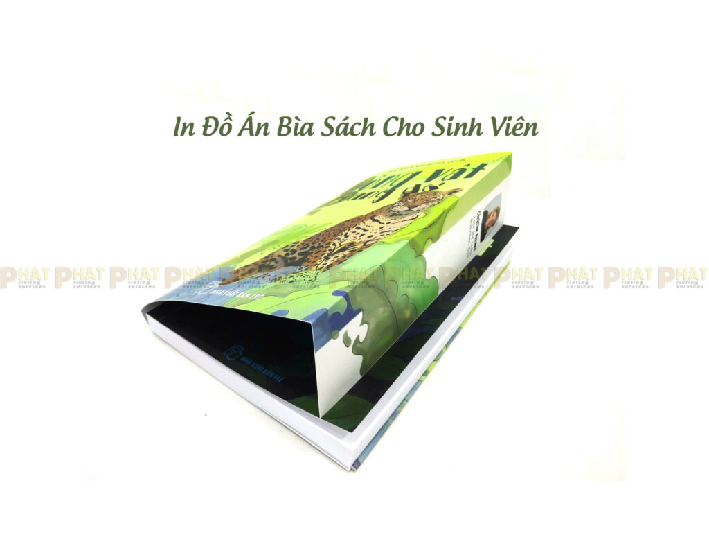 In Đồ Án Cần Thơ - In Đồ Án Bìa Sách Cho Sinh Viên tại Nhà in Phát