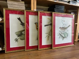 Xu hướng In Tranh Canvas Treo Tường